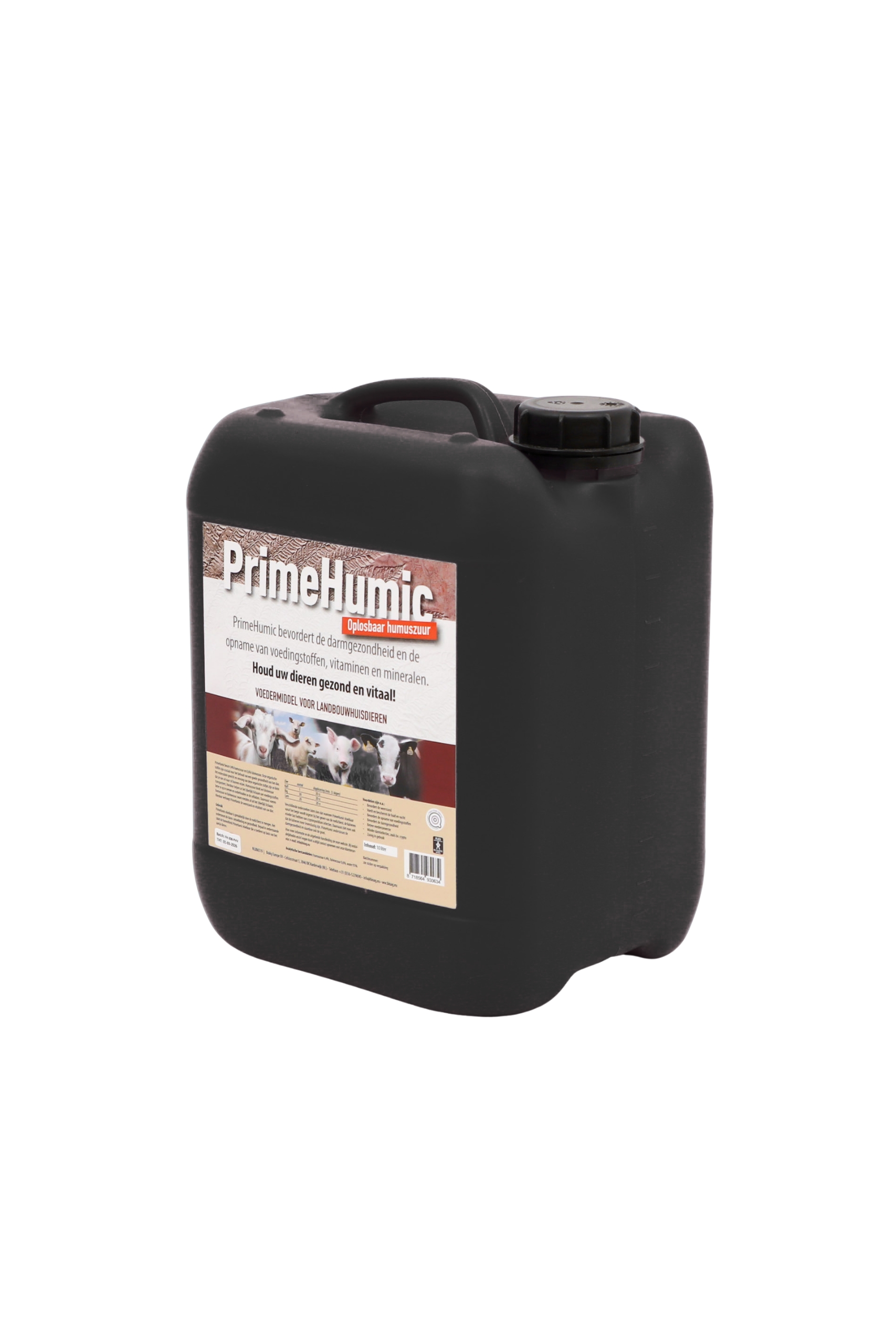 Ontwerp zonder titel (4)