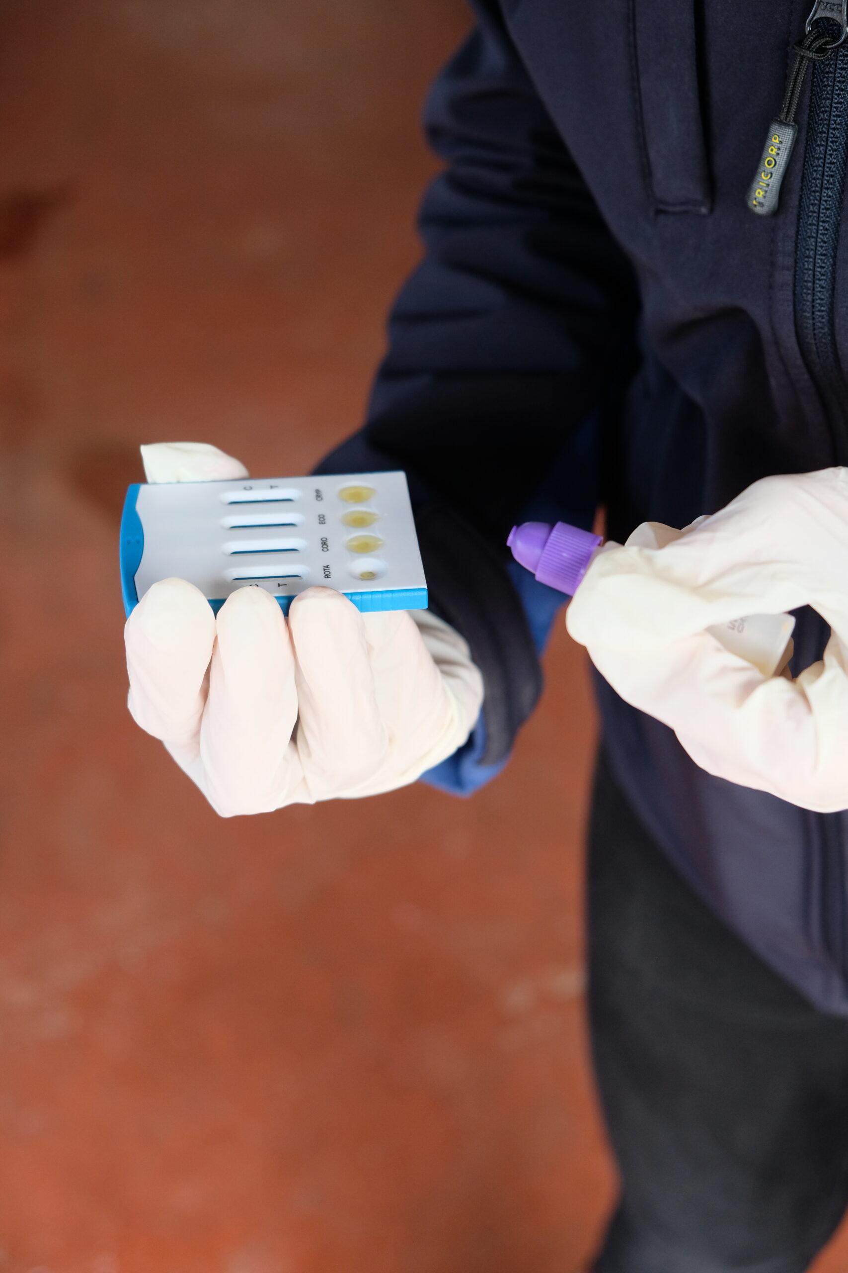 Kalverdiarree - Kalfsupport